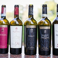 Дегустация вин Corte Figaretto с владельцами винодельни
