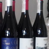Новые вина от Castillo Perelada.