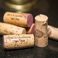 Дегустация вин Duca di Salaparuta с экспорт директор компании - Francesco Perazzitti